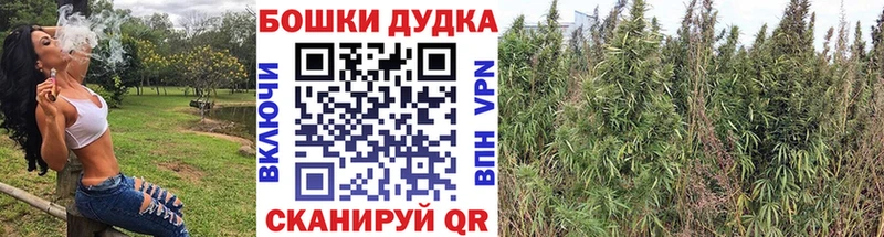 Как найти закладки Дятьково Cocaine  Меф мяу мяу  АМФ  Канабис  ГАШ 