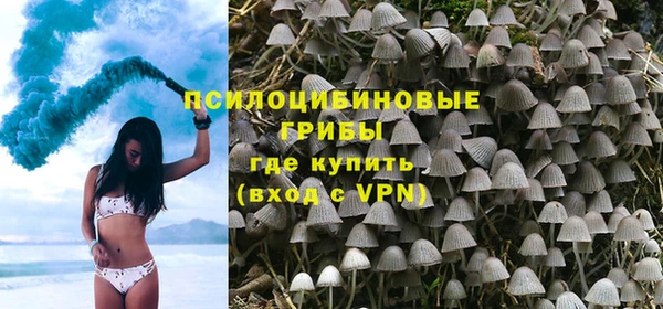 спиды Михайлов