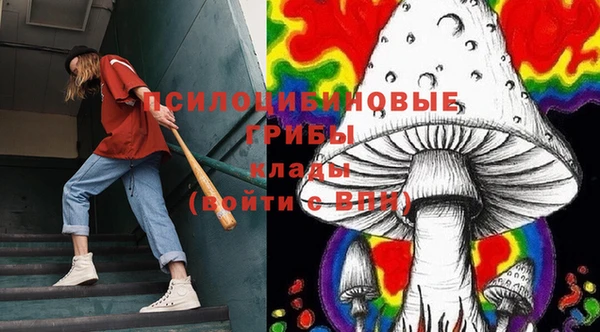 амф Михайловск