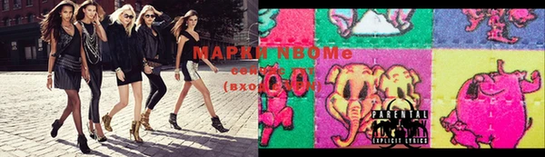 мдпв Апатиты