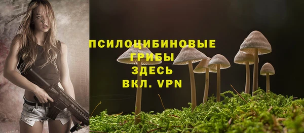 спиды Михайлов