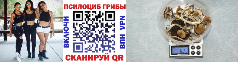 даркнет телеграм  Дятьково  Псилоцибиновые грибы прущие грибы  kraken ONION 