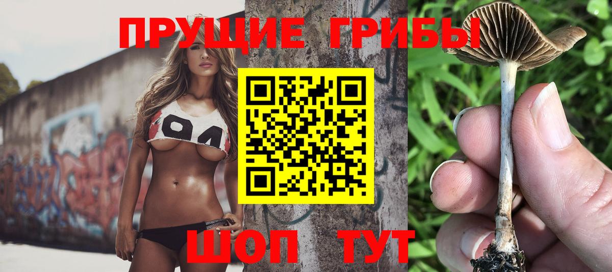 Псилоцибиновые грибы мухоморы  Галлюциногенные грибы ЛСД  Дятьково  Вход с VPN 