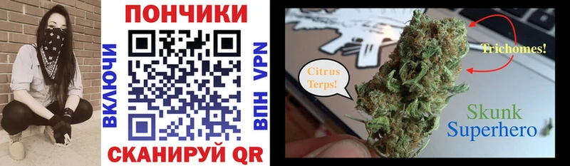 Бошки Шишки конопля  продажа наркотиков  Дятьково 